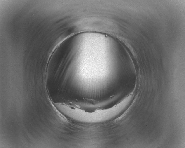 X0000073511529200608140921