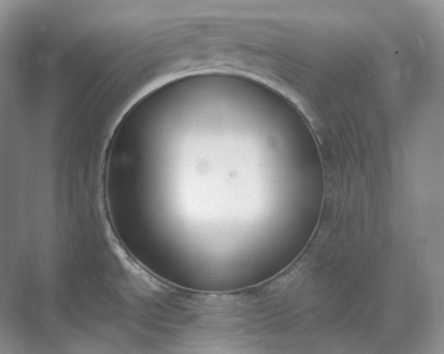 X0000073511534200608140921