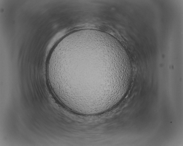 X0000073510006200608211751
