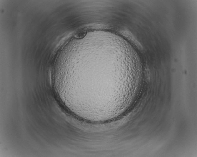 X0000073510014200608211751