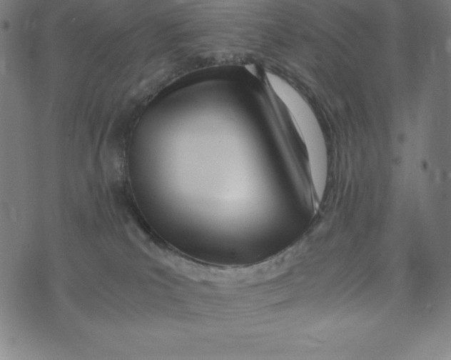 X0000073510039200608211751