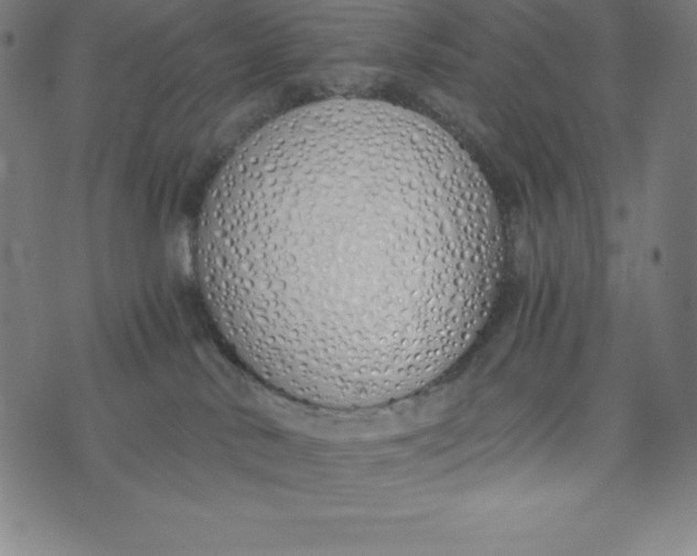X0000073510042200608211750
