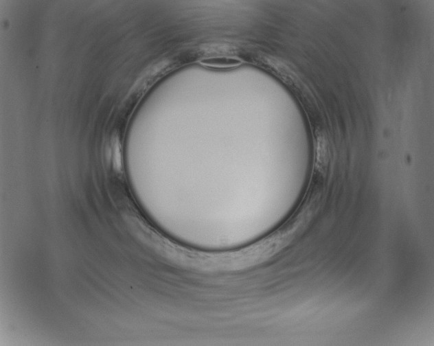 X0000073510046200608211750