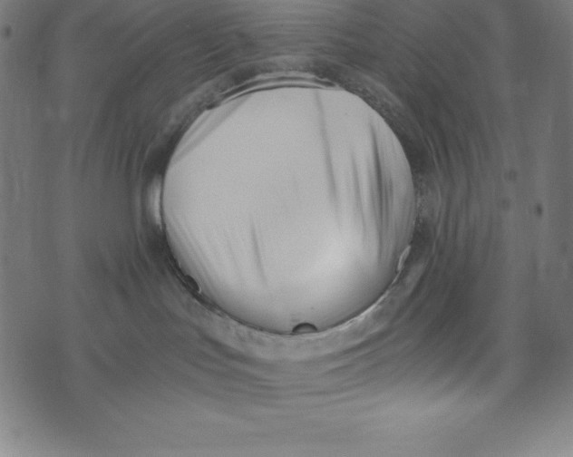X0000073510047200608211750