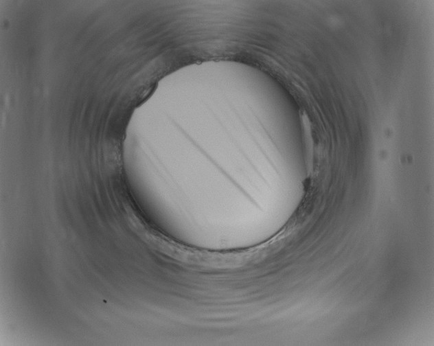 X0000073510048200608211750