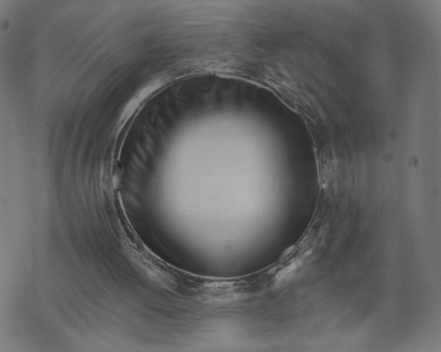 X0000073510052200608211750