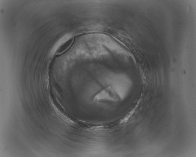 X0000073510054200608211750