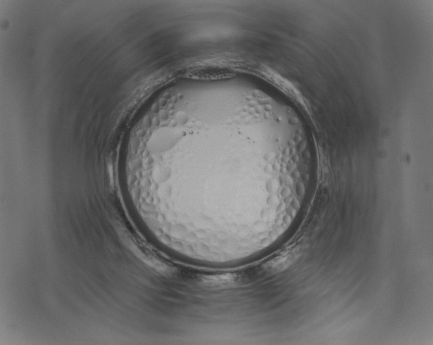 X0000073510061200608211750