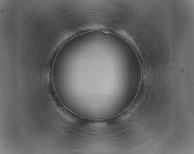 X0000073510063200608211750
