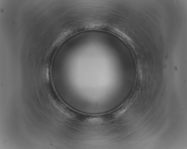 X0000073510067200608211750