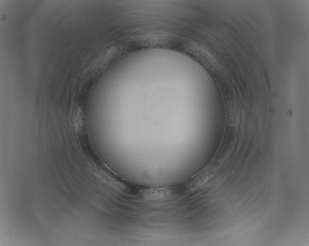 X0000073510077200608211750