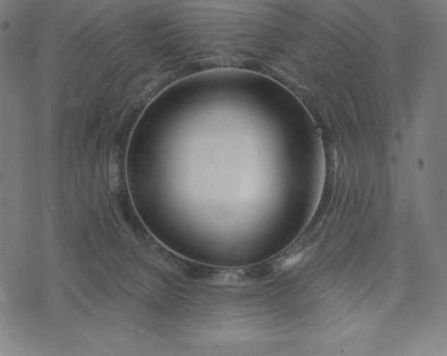 X0000073510080200608211750