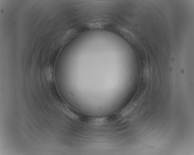X0000073510081200608211750