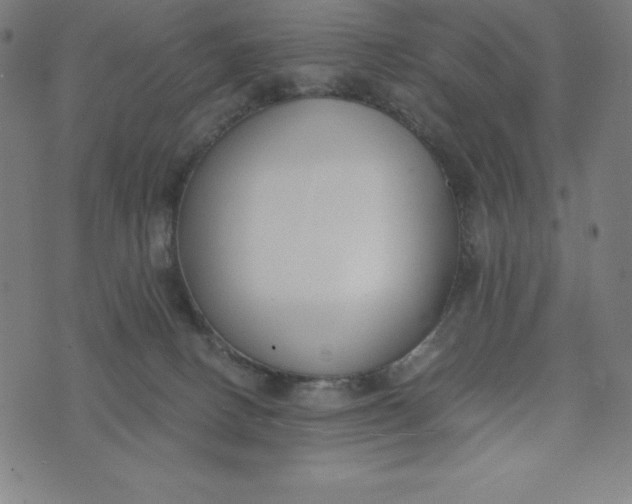 X0000073510082200608211750