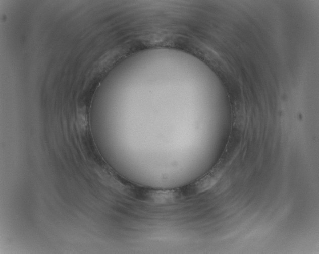 X0000073510085200608211750