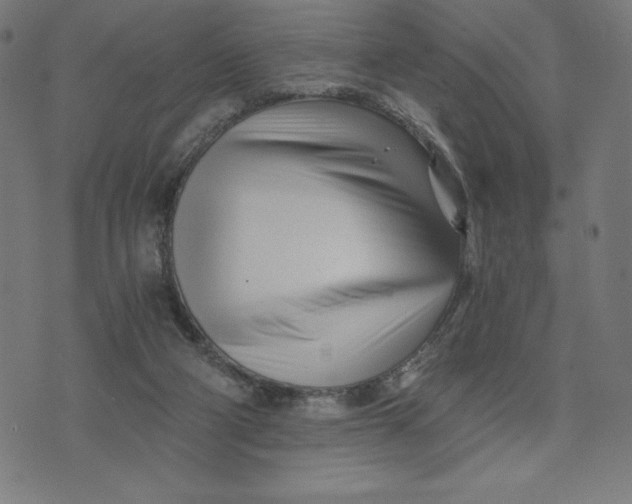X0000073510114200608211749
