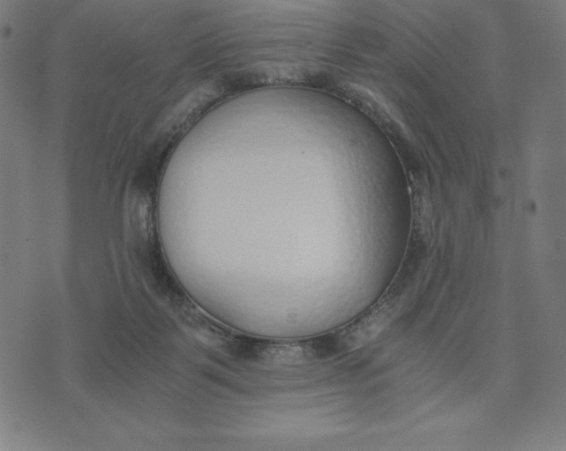 X0000073510123200608211749