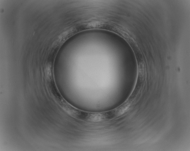 X0000073510127200608211749