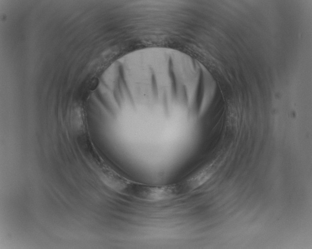 X0000073510130200608211749