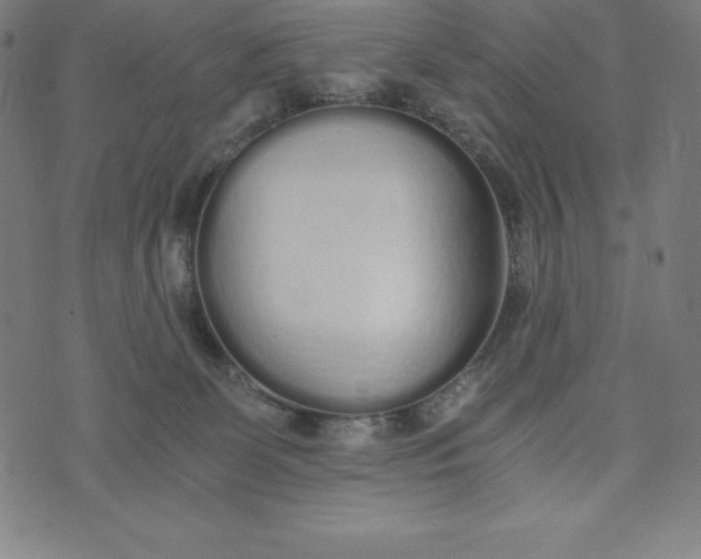 X0000073510131200608211749