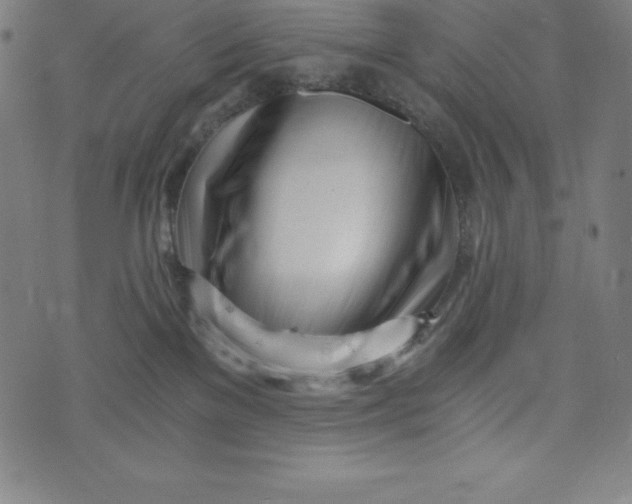 X0000073510137200608211749