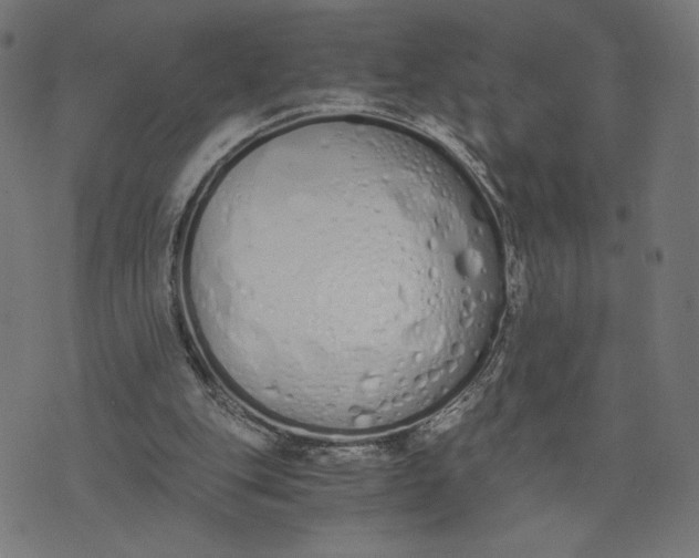 X0000073510151200608211748