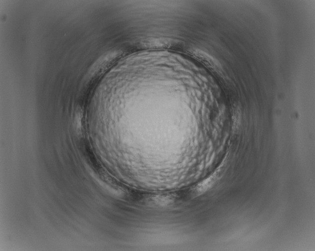 X0000073510166200608211748