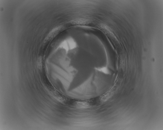 X0000073510167200608211748