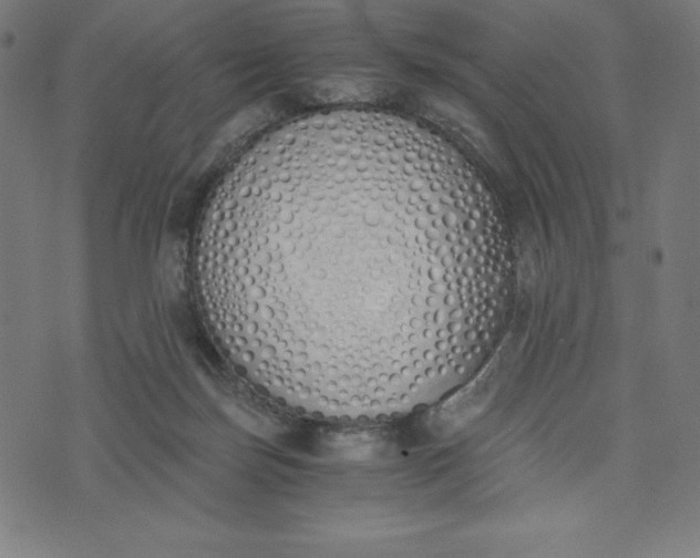 X0000073510171200608211748