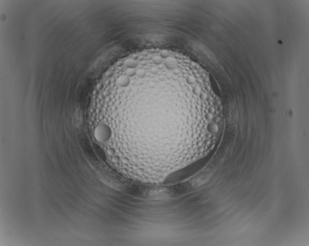 X0000073510173200608211749