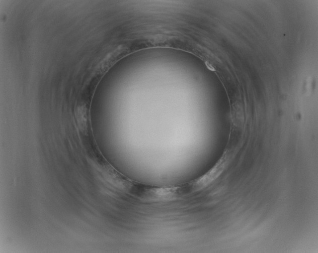 X0000073510184200608211749