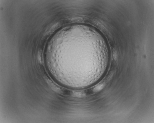 X0000073510185200608211749