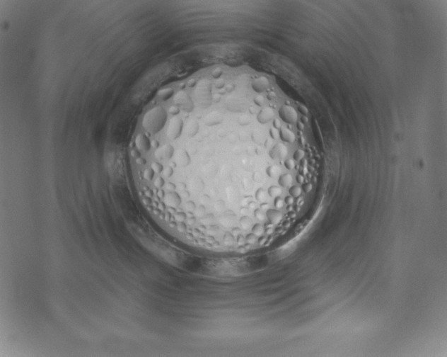 X0000073510191200608211749