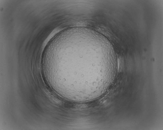 X0000073510195200608211748