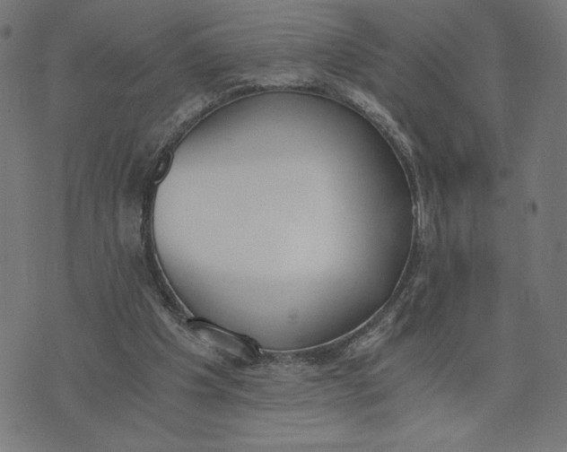 X0000073510201200608211748