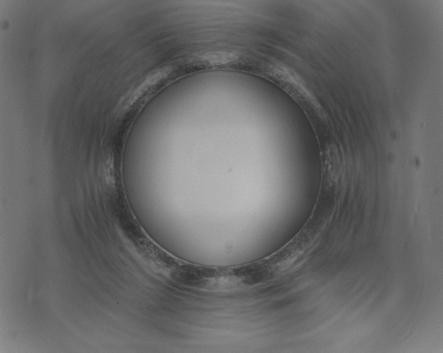 X0000073510212200608211748