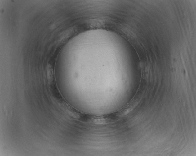 X0000073510228200608211747