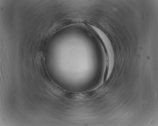 X0000073510229200608211747