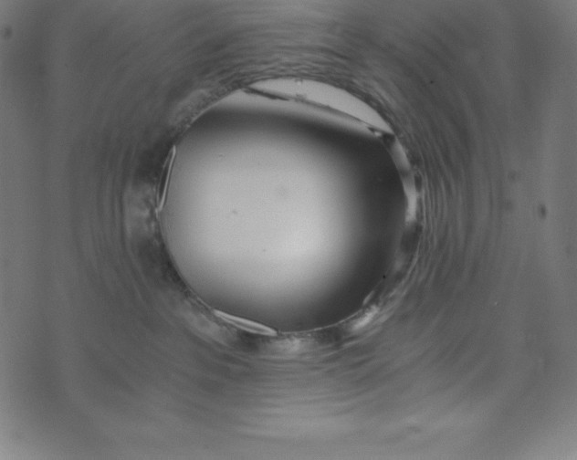 X0000073510237200608211747