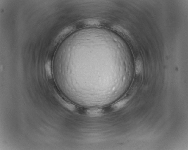 X0000073510238200608211747