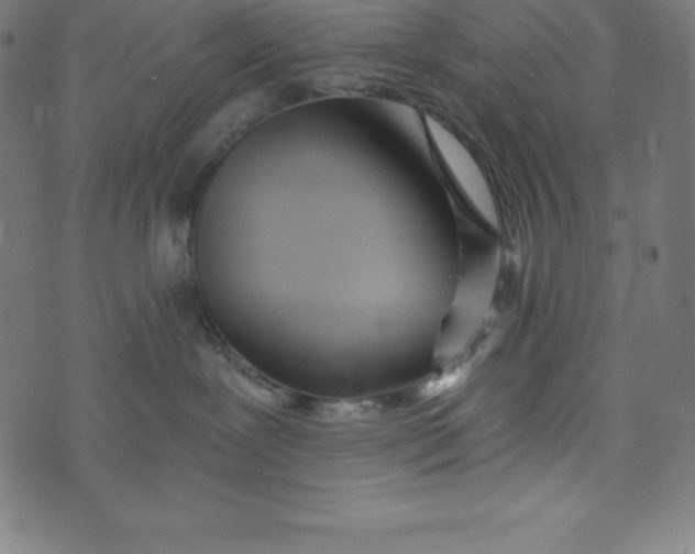 X0000073510239200608211747