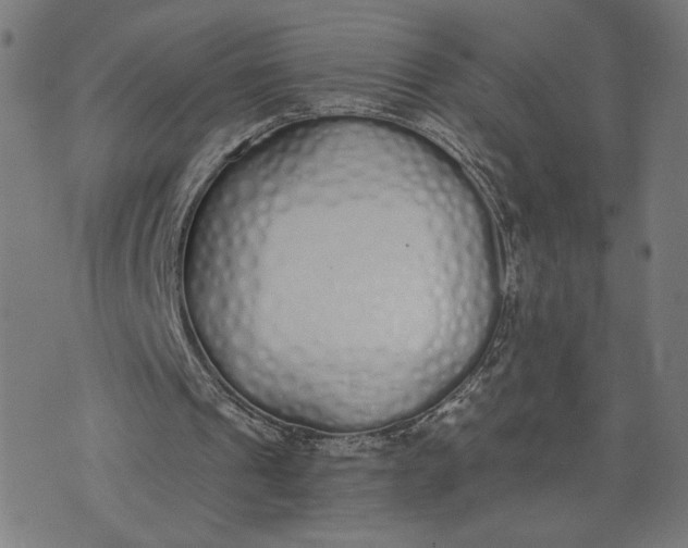 X0000073510241200608211747