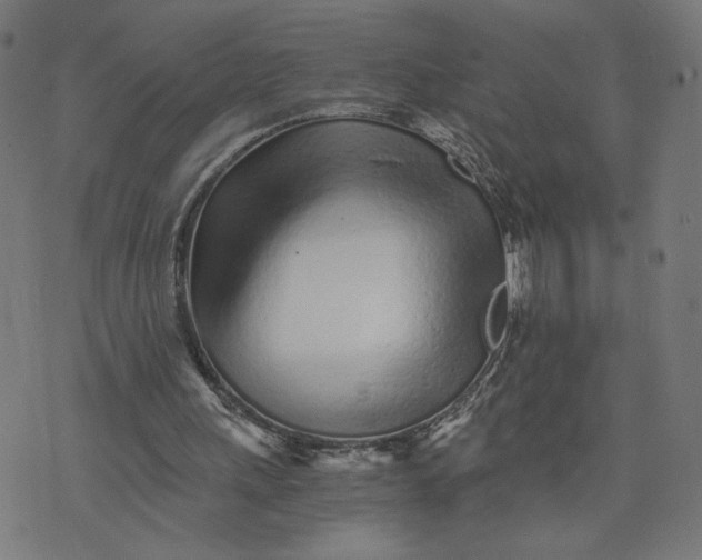 X0000073510243200608211747