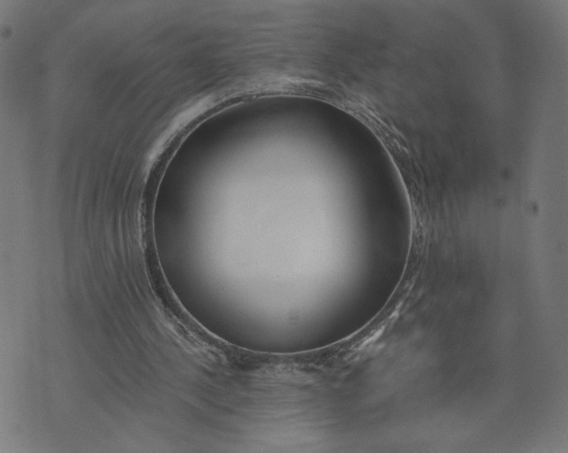 X0000073510244200608211747