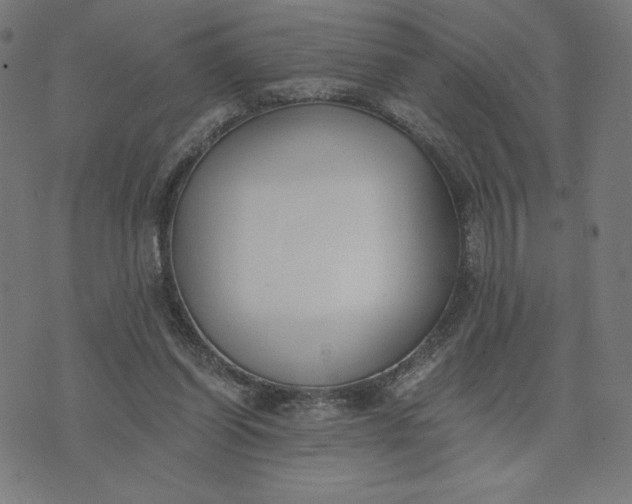 X0000073510254200608211747