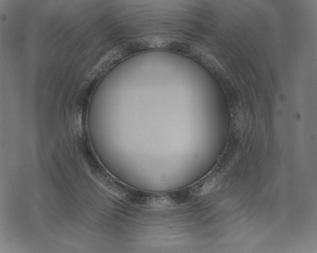 X0000073510262200608211747