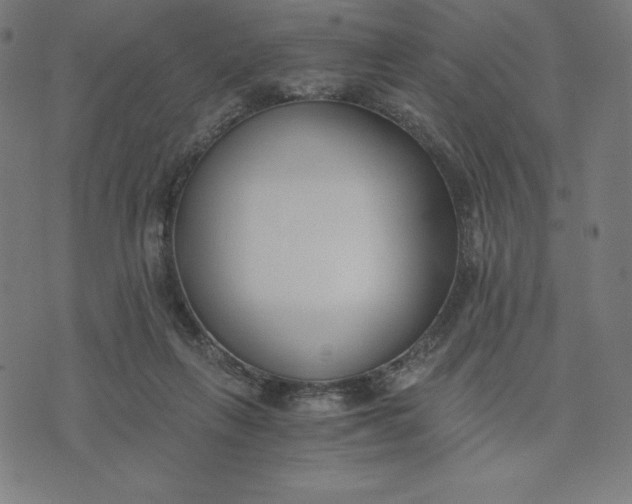X0000073510263200608211747