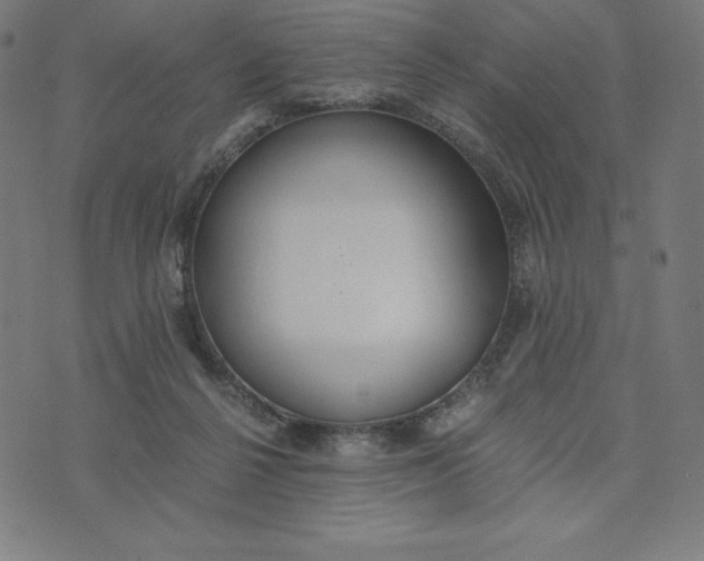X0000073510264200608211747