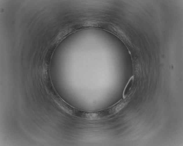 X0000073510265200608211747