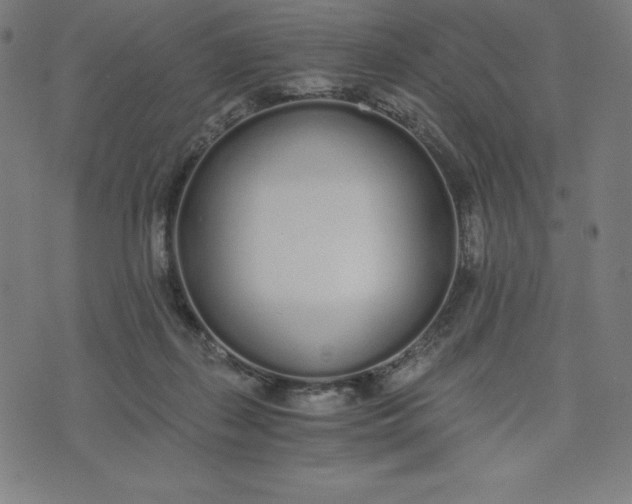 X0000073510267200608211747